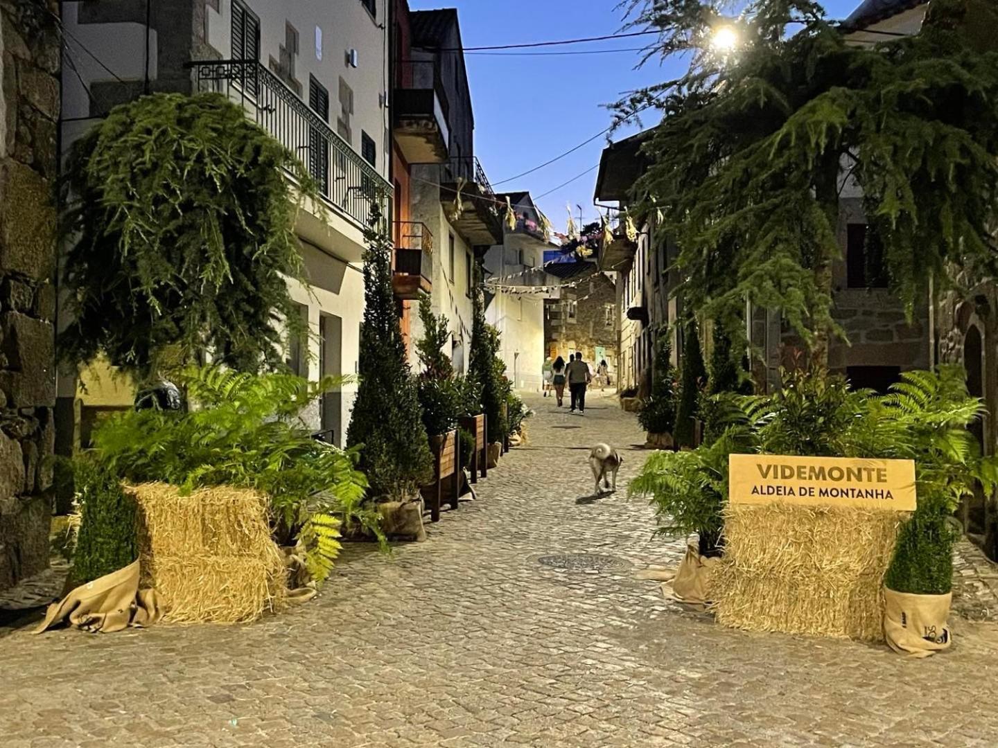 Videmonte Casa De Xisto Ti Lucilia 빌라 외부 사진